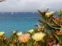 Das Blumenfest auf Rhodos – farbenprächtige Eröffnung des Sommers