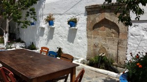 Lachania